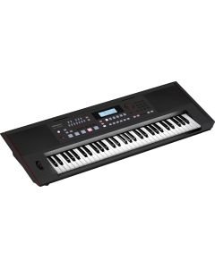 Roland E-X50 61-key Arranger - Black TGF11