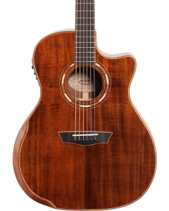 Washburn WCG55CE Comfort Acoustic-Electric Guitar TGF33