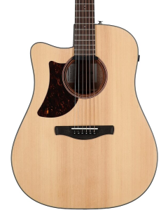 Ibanez AE170 NTR Acoustic Electric Guitar. Natural