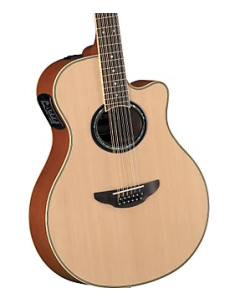 Yamaha 12 String Natural Thinline Cutaway Acoustic Electric Guitar TGF33
