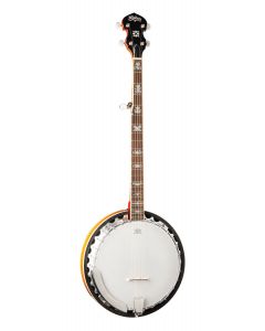Washburn B10 5-String Banjo