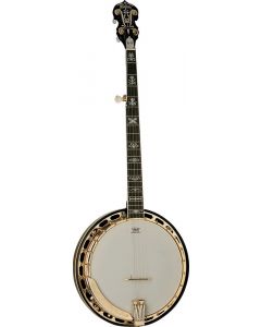 Washburn Americana Series B17K-D 5 String Banjo Sunburst