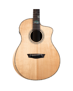 Washburn Bella Tono Studio 56 CE Acoustic Guitar TGF33