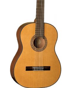 Washburn C40-A Acoustic Guitar