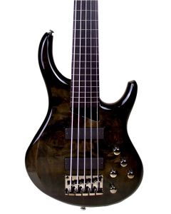 MTD KZX5EB Kingston ZX5 5 String Electric Fretless Bass. Trans Black