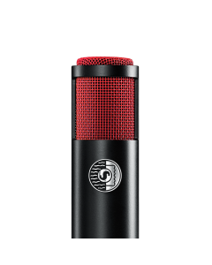 Shure KSM313/NE Dual-Voice Ribbon Microphone with Roswellite Ribbon Technology
