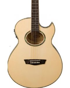 Washburn EA20 Mini Jumbo Acoustic-Electric Guitar