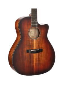 Cort COREGAOPLB Core Series Acoustic Electric Cutaway Guitar. Solid Blackwood TGF33
