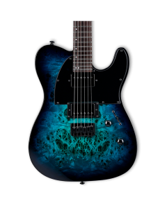 ESP LTD TE-200DX Electric Guitar. Blue Burst