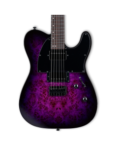 ESP LTD TE-200DX Electric Guitar. Purple Burst
