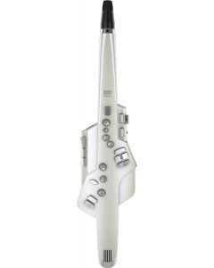 Roland Aerophone AE-10 Digital Wind Instrument