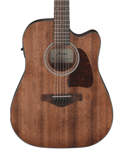 Ibanez Artwood AW5412CEOPN Acoustic Electric 12 String Guitar - Open Pore Natural