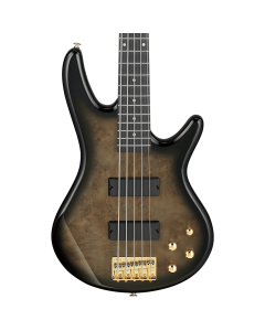 Ibanez GSR205PC TPB Gio 5 String Electric Bass. Transparent Pale Black Burst