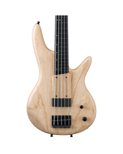 Ibanez GWB1005NTF Gary Willis Signature 5 String Fretless Electric Bass with Case
