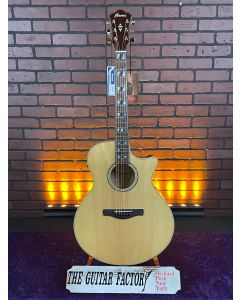 Ibanez AE170 NTR Acoustic Electric Guitar. Natural TGF11