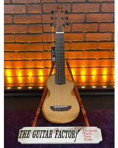 Ibanez AUP10N Nylon 6-String Tenor Acoustic Guitar Natural TGF11
