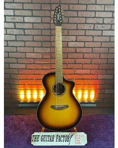 Breedlove ECO Discovery S Concert CE 12-String Edgeburst - New Store Demo