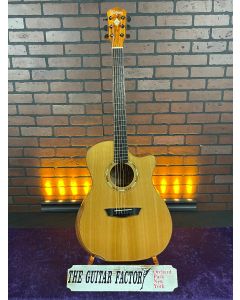 Washburn Comfort WCG66SCE Spalted Maple - Natural with Armrest - MINT! w/ Hard Case SN0224