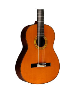 Yamaha Handcrafted Spruce Classical Gtr W/Case TGF33