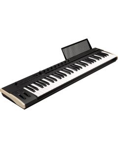 Korg Keystage MIDI Keyboard Controller with Polyphonic Aftertouch 61 Key TGF11