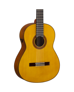 Yamaha Transacoustic Nylon String Cg Guitar TGF33