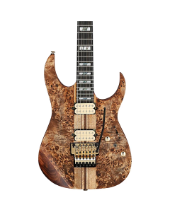 Ibanez RG Premium Series RGT1220PB Electric Guitar Antique Brown Stained Flat