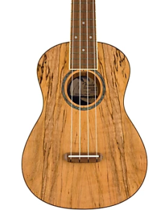Fender Zuma Exotic Concert Ukulele, Walnut Fingerboard, Spalted Maple