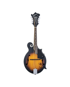 Washburn M3EK-A M3E Mandolin Pack with F-style Mandolin TGF33