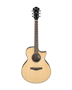 Ibanez AE410 LGS Platinum Acoustic Electric Guitar. Natural Low Gloss with Case TGF33
