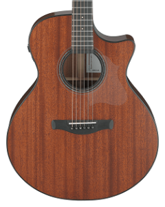Ibanez AE440 LGS Platinum Acoustic Electric Guitar. Natural Low Gloss with Case TGF33