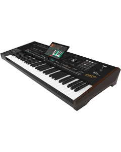 Korg PA5XOR61 Pa5X Oriental Professional Keyboard