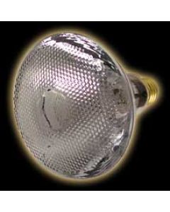 American DJ LLPAR38 150W Lamp for PAR-38