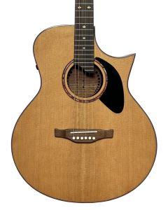 Peavey Stylist Deluxe Petite Body Acoustic Guitar. Sharp, Cutaway