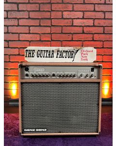 Genz Benz Shenandoah 60LT 60-watt (2 x 30W) stereo acoustic combo amplifier - MINT! SN0207