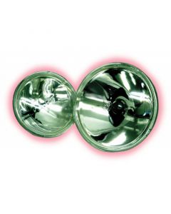 American DJ ZB4405 12VOLT Lamp