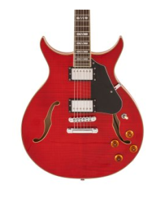 Washburn SH35TB Wing Series Semi Hollow Electric Guitar w/Gigbag. Trans Black