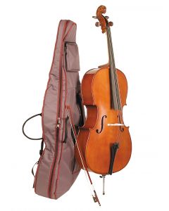 Stentor 1108 Stentor Student II Cello. 3/4