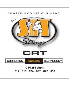 SIT CRT Coated Phosphor Bronze Acoustic Light 12-53