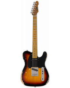 ESP LTD TE-254 Electric Guitar (Distressed Finish)