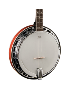 Washburn Americana Series B16K-D 5 String Banjo Sunburst TGF33