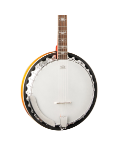 Washburn B10 5-String Banjo TGF33