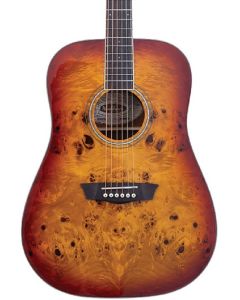 Washburn DFBDA Deep Forest Burl Dreadnought Acoustic Guitar. Amber Fade