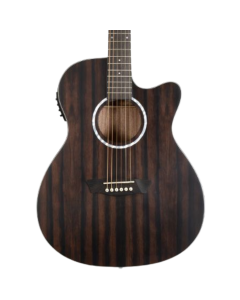 Washburn DFEACE-U Deep Forest Grand Auditorium Cutaway Acoustic/Electric Guitar. Striped Ebony