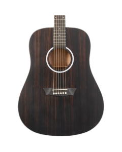 Washburn DFED-U Deep Forest Dreadnought Acoustic Guitar. Striped Ebony