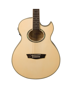Washburn EA20 Mini Jumbo Acoustic-Electric Guitar