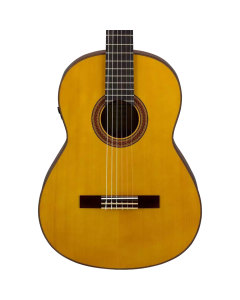 Yamaha Transacoustic Nylon String Cg Guitar