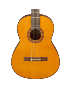 Yamaha Acoustic Electric Classical Guitar With Solid Spruce Top