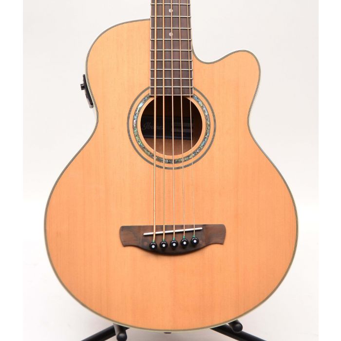 Acoustic-Electric　Ibanez　Natural　String　Gloss　Bass　AEB105ENT　TGF11