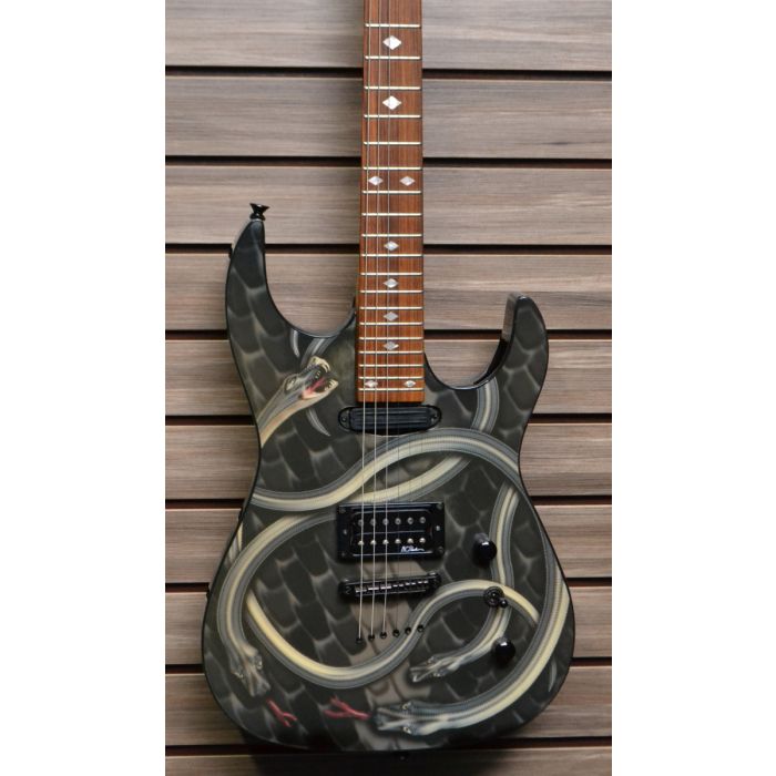 Bc rich store body