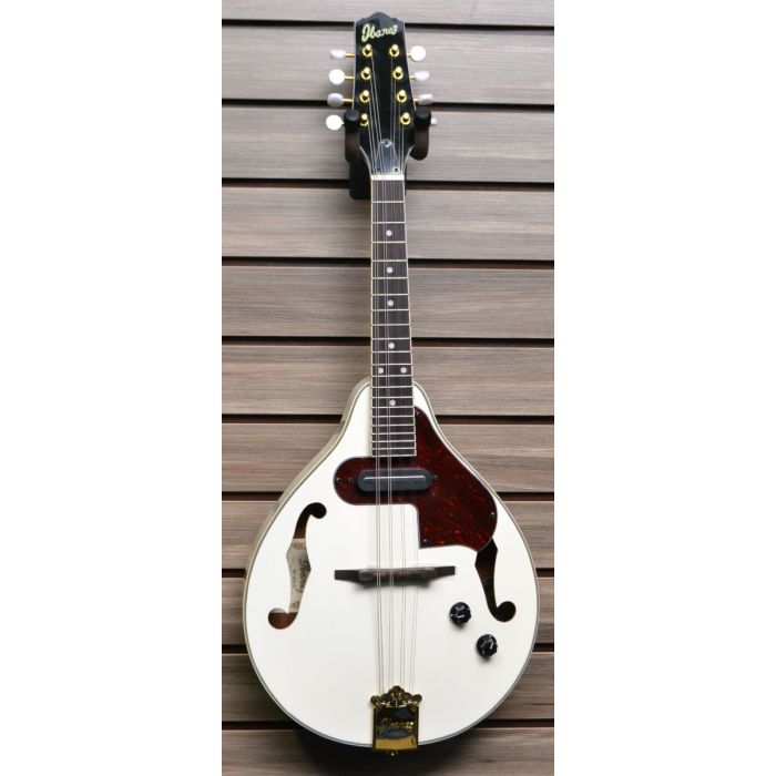 Ibanez acoustic electric mandolin on sale